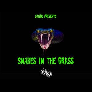 Snakes In The Grass