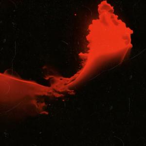 Introspection (feat. Nicolò Ricci, Jonathan Szegedi & Burak Irmak)