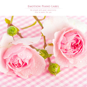 사랑의 시작 (The beginning of love)