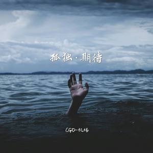 Someone Like You Karaoke-孤单的期待 (CGO-机场 remix)