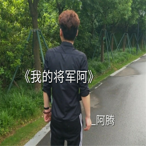 我的将军啊