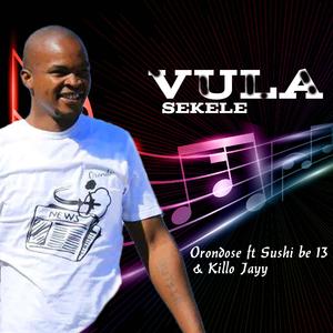 Vula Sekele (feat. Sushi be13 & Killo Jayy) (Radio Edit)