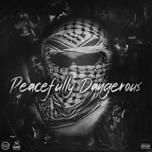 DOT (feat. India) (Explicit)