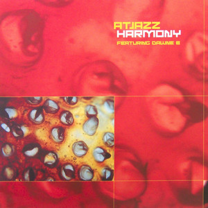 Harmony (Little Big Bee Remix)