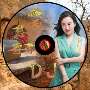 再唱想哥哥 (DJ版)