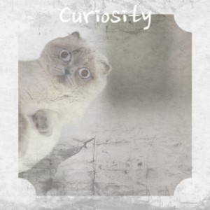 Curiosity