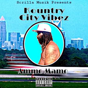 Kountry City Vibez (Explicit)