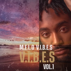 V.I.B.E.S, Vol.1 (Explicit)