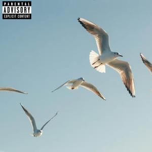 Sell A Bird (Explicit)
