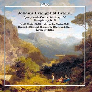 Symphony Concertante in D Major, Op. 20 - I. Adagio - Allegro