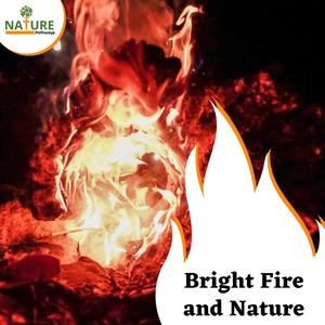 Bright Fire and Nature