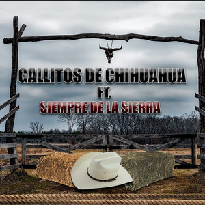 El limpia Vidirios