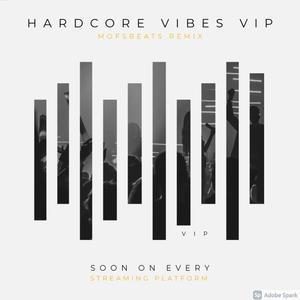 HARDCORE VIBES VIP DNB (Remix)