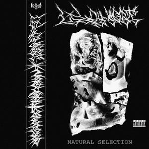 NATURAL SELECTION (Explicit)