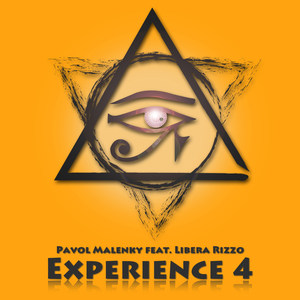 Experience 4