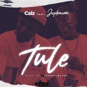 Tule (feat. Jaydreamz & Sigzeey) [Explicit]