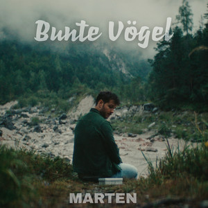 Bunte Vögel