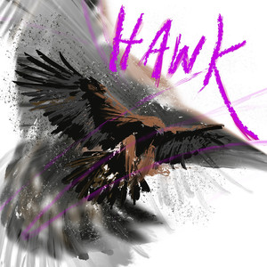 Hawk