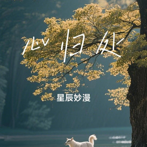 心归处
