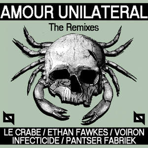 Amour Unilatéral (Infecticide Remix)