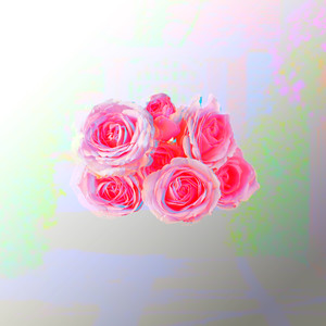 Give Me My Flowers (Explicit)