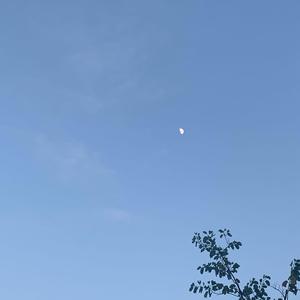 随思录