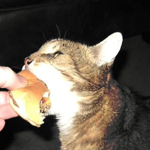 Delicious (Explicit)