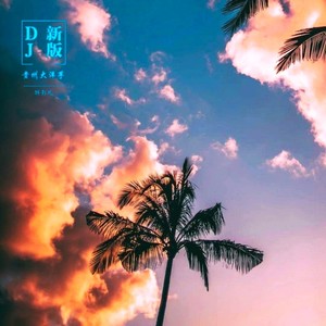 贵州大洋芋 (DJ新歌版)