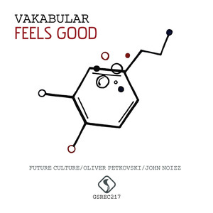 Feels Good (Future Culture Breaks Rework)