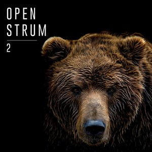 Open Strum 2