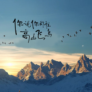 你说你向往高山飞鸟