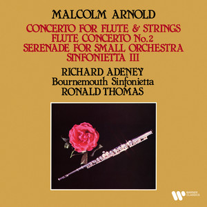 Flute Concerto No. 1, Op. 45 - II. Andante