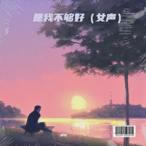 是我不够好（女声）