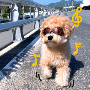 샴푸 (feat. 권재학 (JFLAMINGO)) (SHAMPOO)