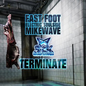 Terminate (Original Mix)