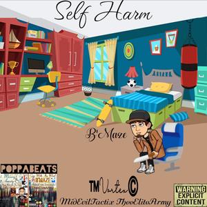 Self Harm (feat. POPPA BEATS) [Explicit]