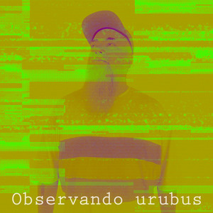 Observando Urubus
