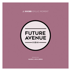 Idyllic Moment (Zaleski Remix)