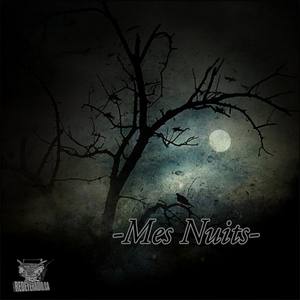 Mes Nuits(feat. Dialekt & Fess Gotchu) (Explicit)