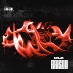Raison (Explicit)