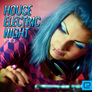 House: Electric Night, Vol. 3