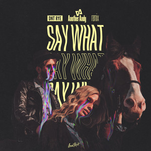 Say What (Another Andy Remix|Explicit)
