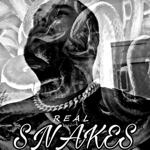 Snakes (Explicit)