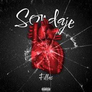 Sondaje (Explicit)