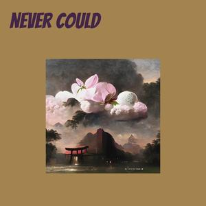 Never Could