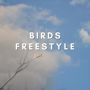 BIRDS FREESTYLE (Explicit)