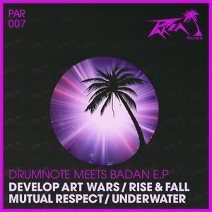 Develop Art Wars (Original Mix)