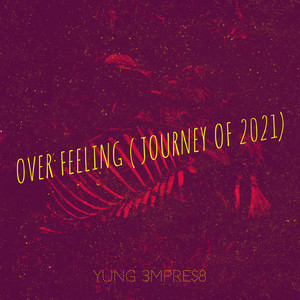 Over Feeling ( Journey of 2021) [Explicit]