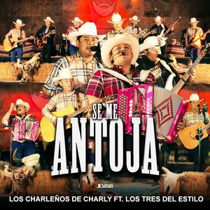 Se Me Antoja (feat. Los Tres Del Estilo)
