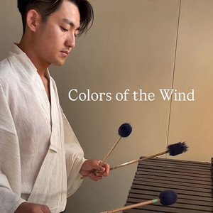 カラー・オブ・ザ・ウィンド (COVER版)